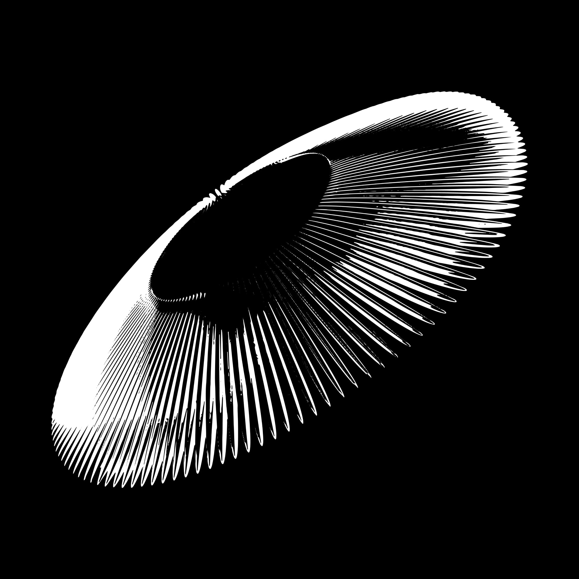 Free Vector 3D shape