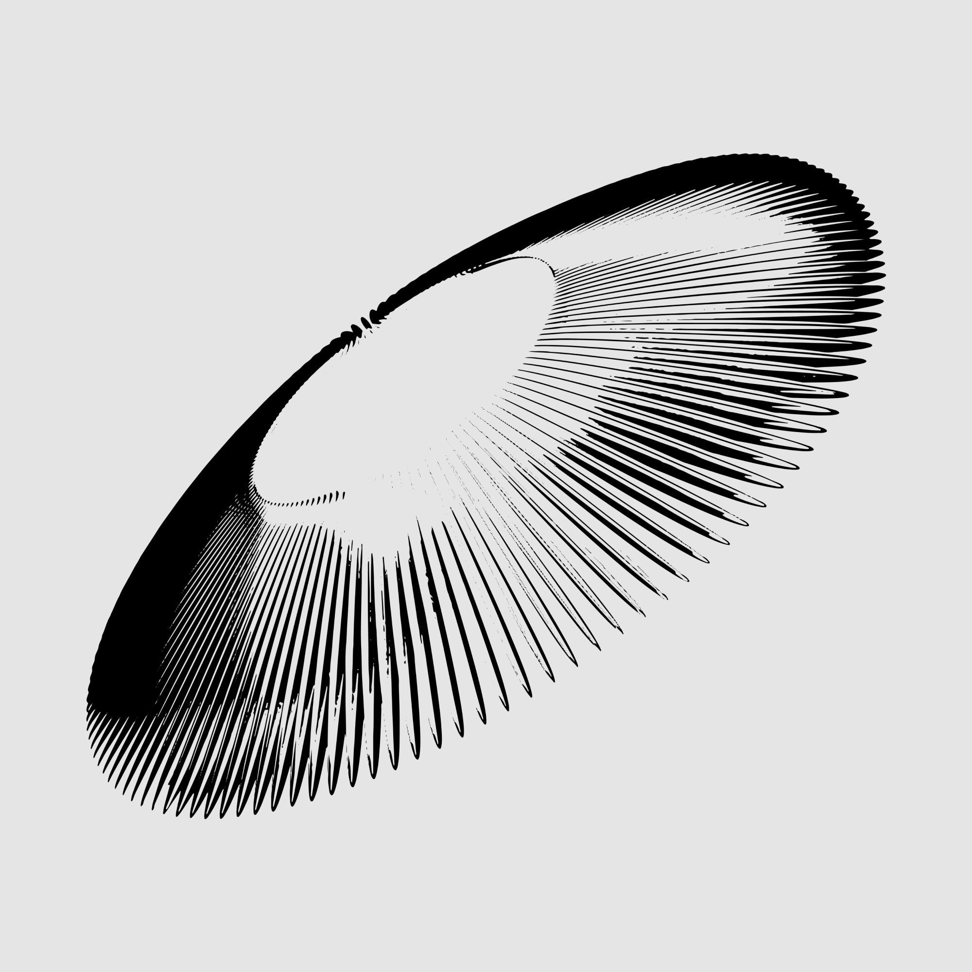 Free Vector 3D shape